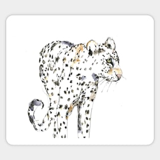 Simple leopard Sticker